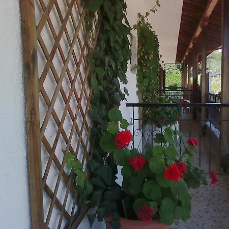 El Capitan Konukevi 3*