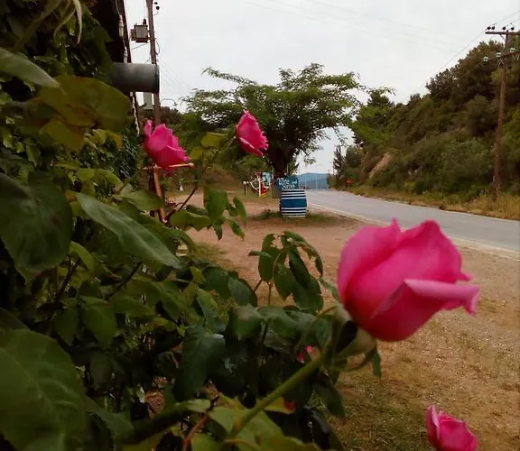 Affittacamere El Capitan Porto Koufo