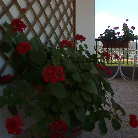 Vendégház El Capitan 3*