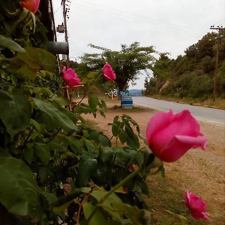 Guest house El Capitan Porto Koufo