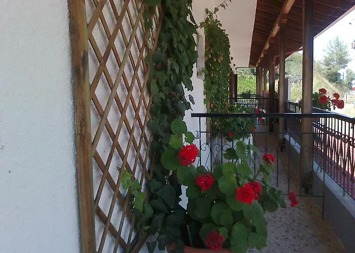 El Capitan Affittacamere 3*